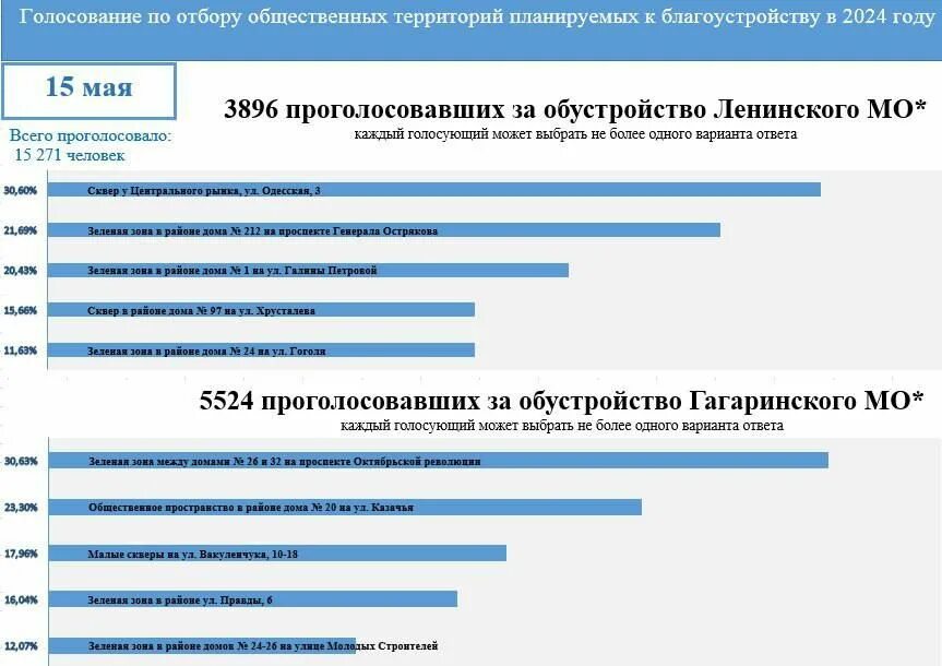 Промежуточные результаты голосования 2024