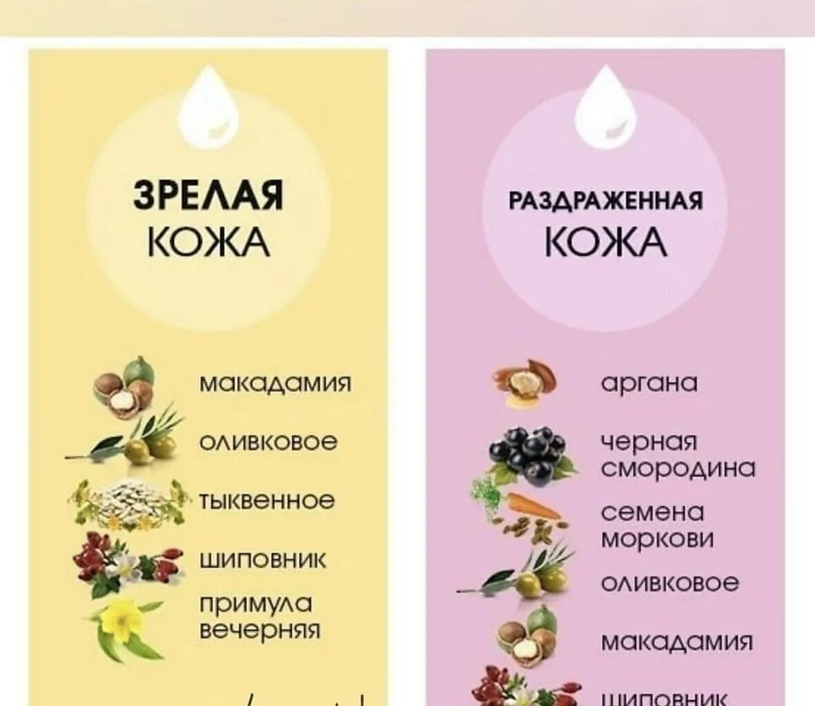 Увлажнить кожу маслом. Чем полезны масла для кожи. Самое лучшее масло для кожи тела. Чем полезны масла для кожи. Кокосовое масло с эфирными маслами.
