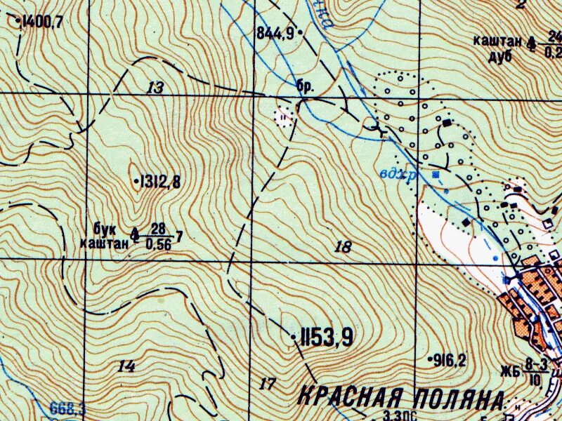 Карта топографа. Карта местности. Фрагмент топографической карты. Крупномасштабные карты. Первые топографические карты.