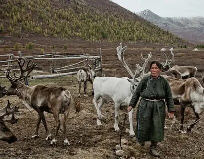 Жизнь и деятельность человека в тундре