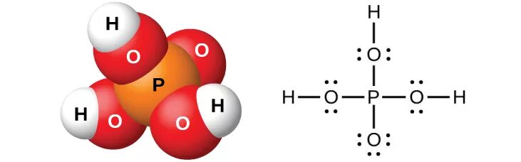 Химическое соединение h3po4. Строение молекулы фосфорной кислоты. Ортофосфорная кислота строение молекулы. Фосфорная кислота молекулярное строение. Графическая формула фосфорной кислоты.