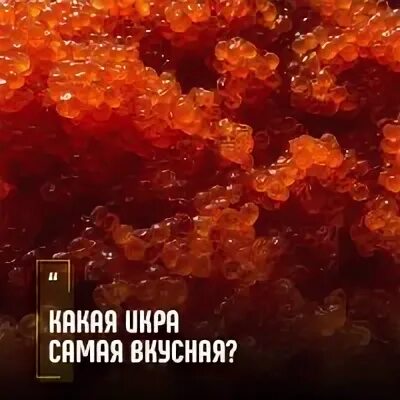 Калифорния какая икра