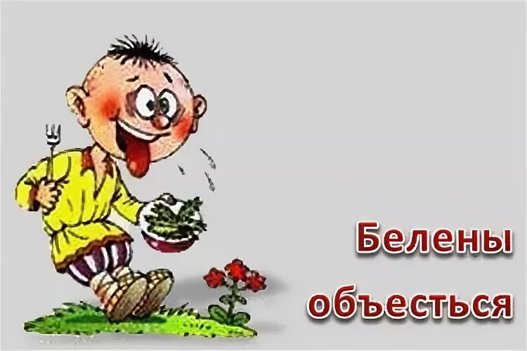 Белена объелся