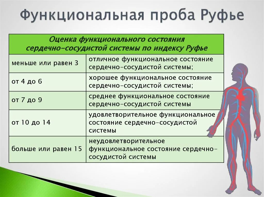 Норма представляет собой тест. Функциональные пробы. Функциональные пробы сердечно-сосудистой системы. Проба Руфье. Проба Руфье это функциональная проба.