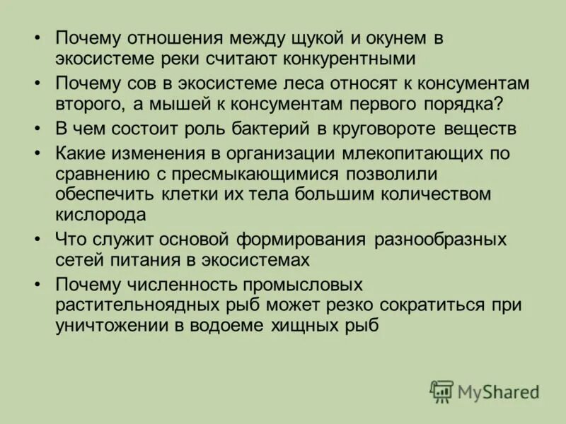 щука и карась. картинки озерных рыб. александр дегтев рыба. факты о рыбах. карточки речные рыбы для детей.