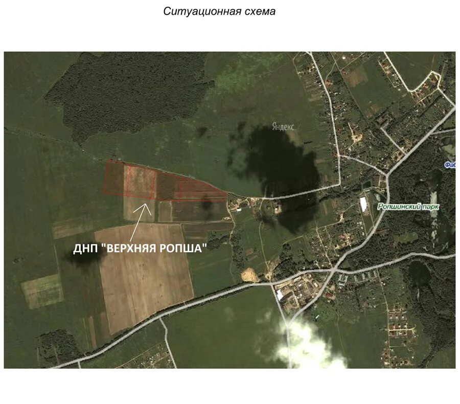 Такси ропша. Ропша генплан. ропша дом пучкова. план садоводства новая ропша. днп янтарная ропша.
