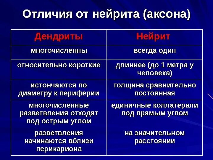 Строение и функции аксона. Характеристика аксонов и дендритов. дендрит и аксон различия. сравнительная характеристика дендрита и аксона. функции аксона и дендрита.