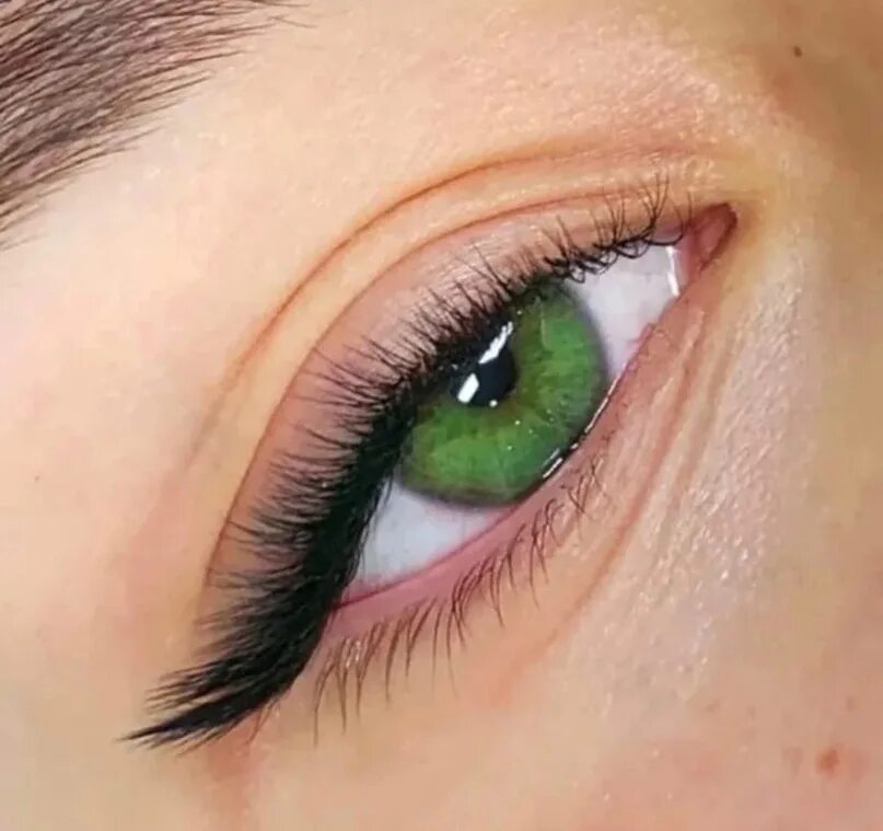 Temporarily closed: Madonna, eyebrow and eyelash salon, Bryansk, ulitsa Duki, 65