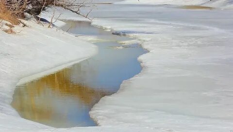 Вода весной