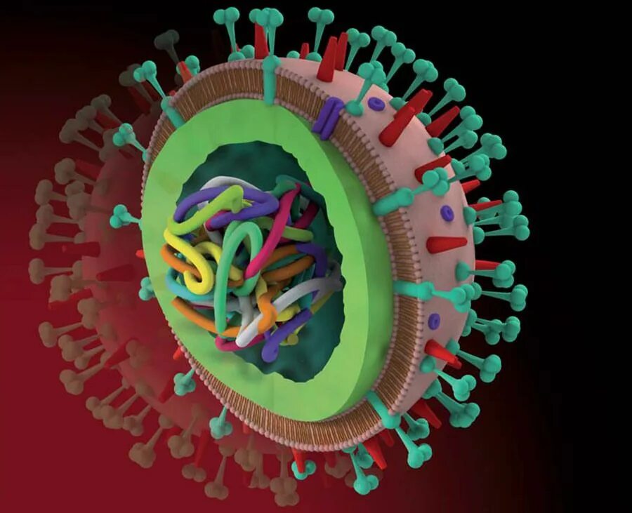 Flu virus