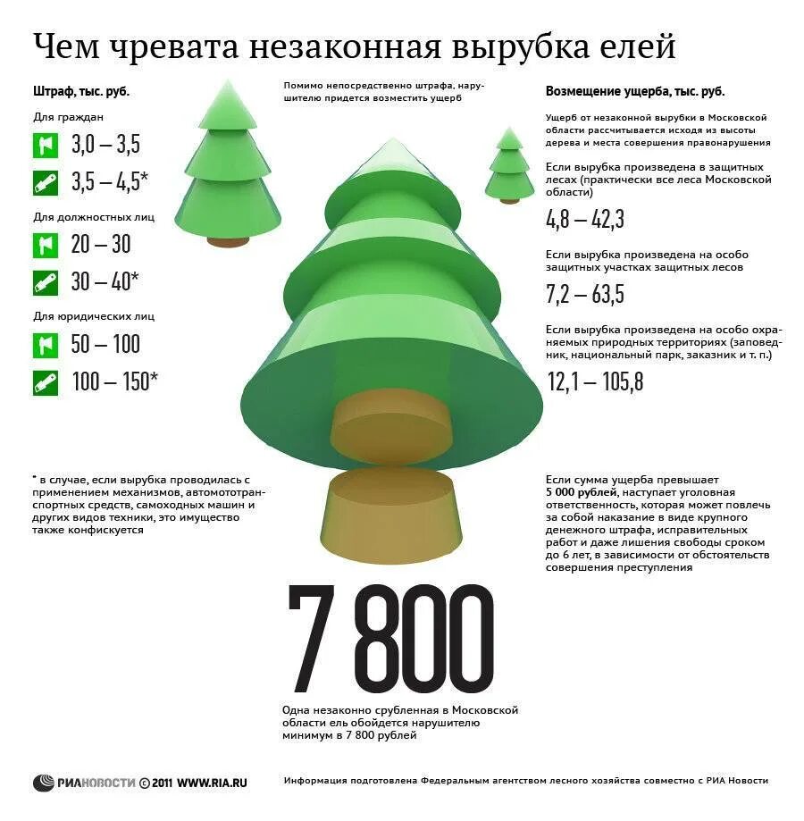 Какой штраф за ель. Штраф за вырубку елки. вырубка деревьев статистика. незаконная вырубка леса статистика. незаконная рубка леса инфографика.