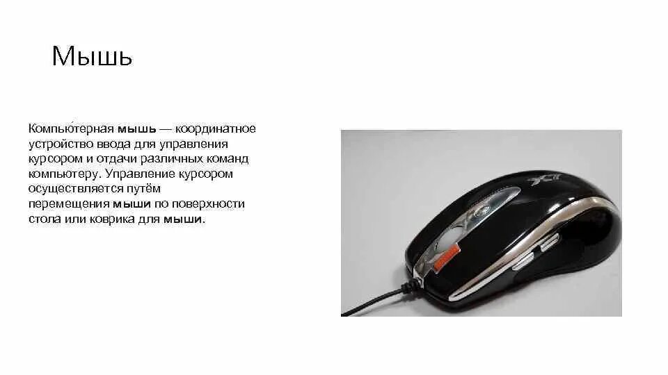 Мышь устройство для ввода информации. Устройства ввода информации мышь. компьютерная мышь координатные устройства ввода. компьютерная мышь информация. устройство компьютерной мыши.