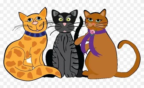 They are orange