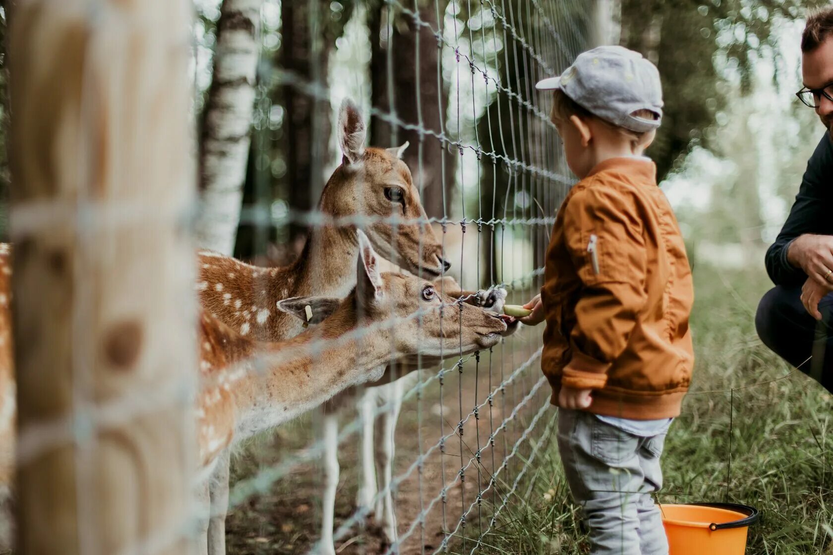 Zoo child. Дети в зоопарке. Животные зоопарка. Малыши в зоопарке. Мальчик в зоопарке.