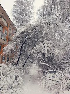 Мартовский снегопад