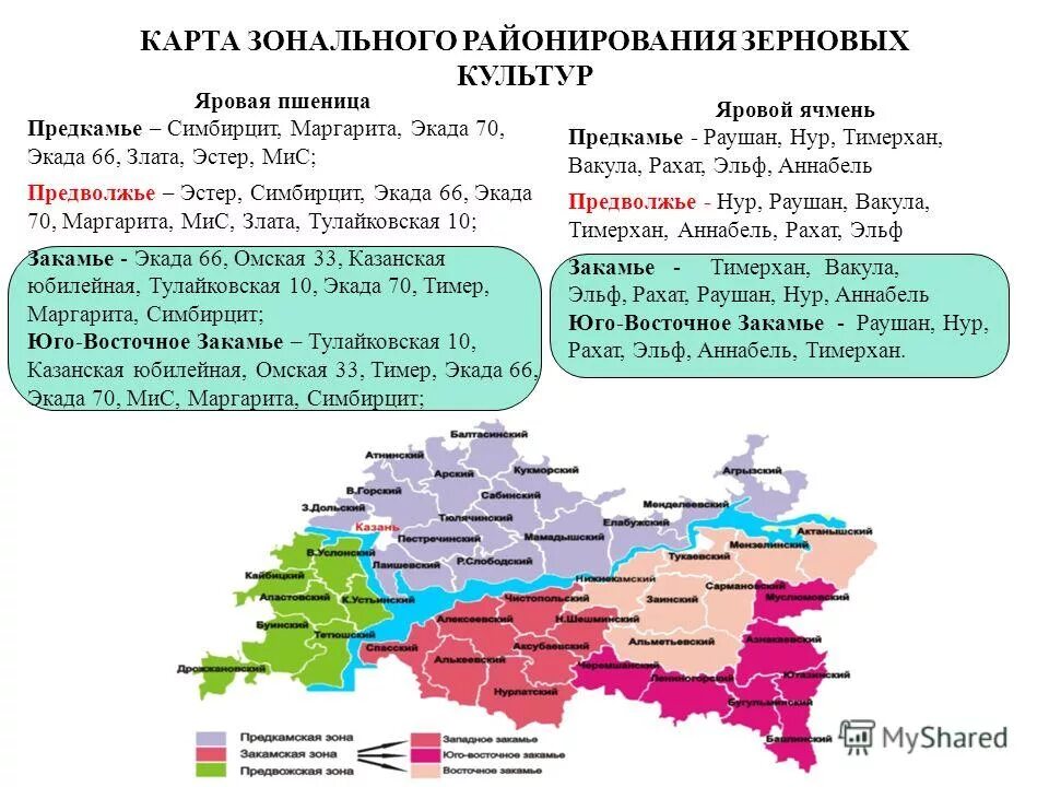 наб челны закамье рынок. хозтовары закамье набережные челны. челны закамье график работы сегодня. оптовая база закамье набережные челны. челны закамье график работы сегодня.
