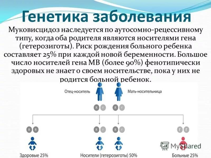 Муковисцидоз Тип наследования заболевания. Фенилкетонурия Тип наследования аутосомно. Аутосомно рецессивный Тип наследования генотипы. Муковисцидоз наследуется по аутосомно-рецессивному типу. Аутосомно рецессивные наследственные заболевания