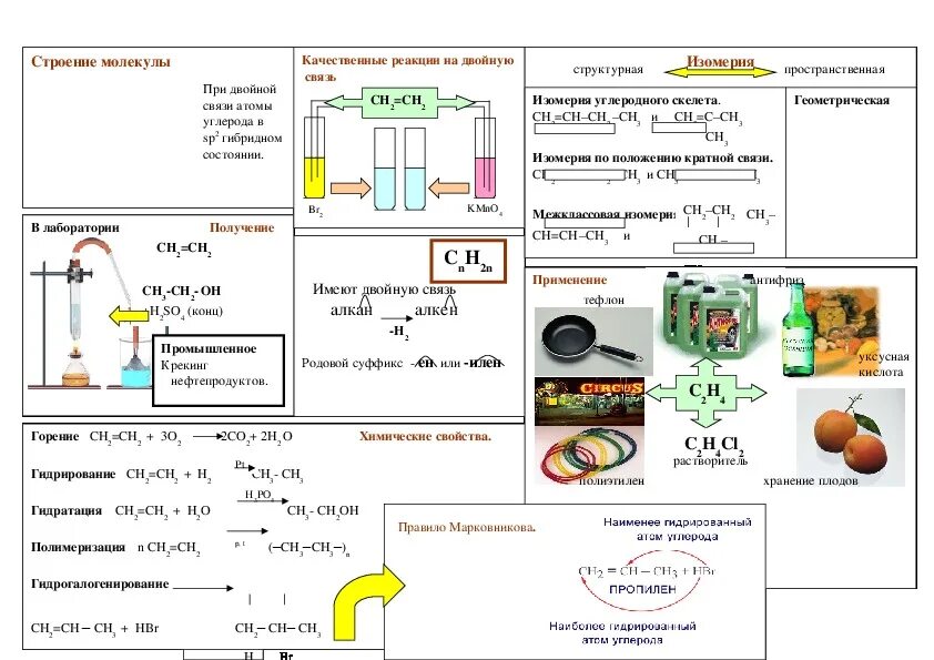 Химия в таблицах и схемах Алкены. Химия 10 кл химические свойства алкенов. Конспект по химии по органике 10 класс. Органическая химия 10 Алкены. Конспект алкены