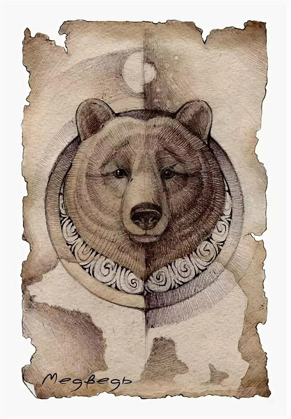 Мишка карта. Ареал обитания бурого медведя. Карта в виде медведя. Мишка карта. Распространение медведей.