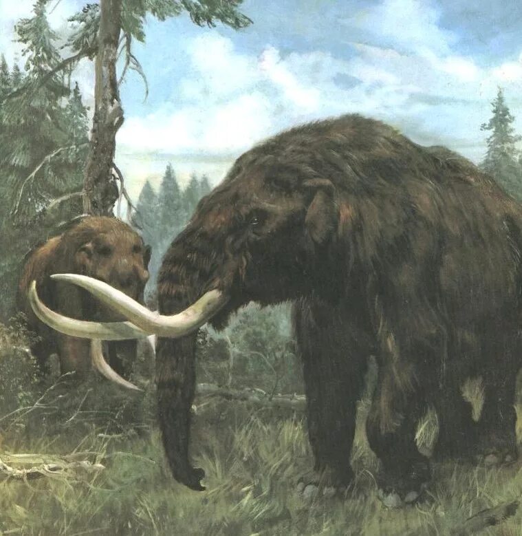 Мир исторических животных