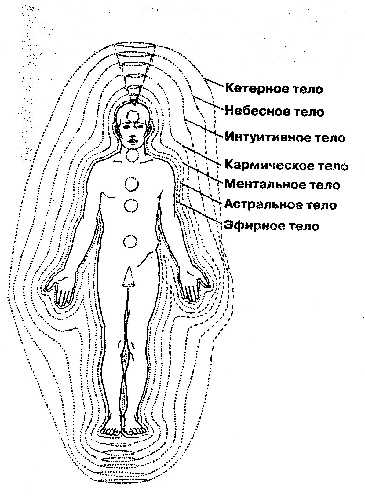Ментально. Ментальное астральное эфирное физическое тело человека. Эфирное тело Штайнер. Биополе человека схема. Аура биополе Фантом.