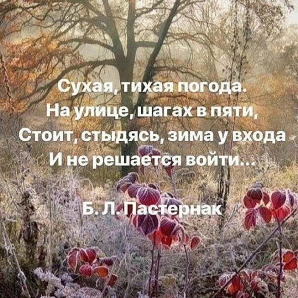 Зимние мудрые пожелания хорошего дня. Пейзажная симфония александра киценко. цитаты про зиму. зимние цитаты. цитаты про ноябрь.