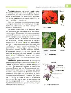 Проект по биологии 6 класс растения