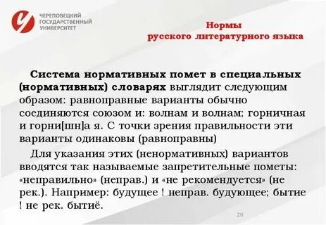 Класс литы