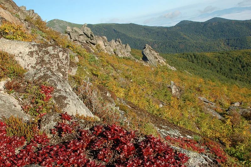 приморский край горы сихотэ алинь. горы сихотэ алинь. центральный сихотэфлинь. приморье сихотэ алинский хребет. горная система сихотэ алинь.