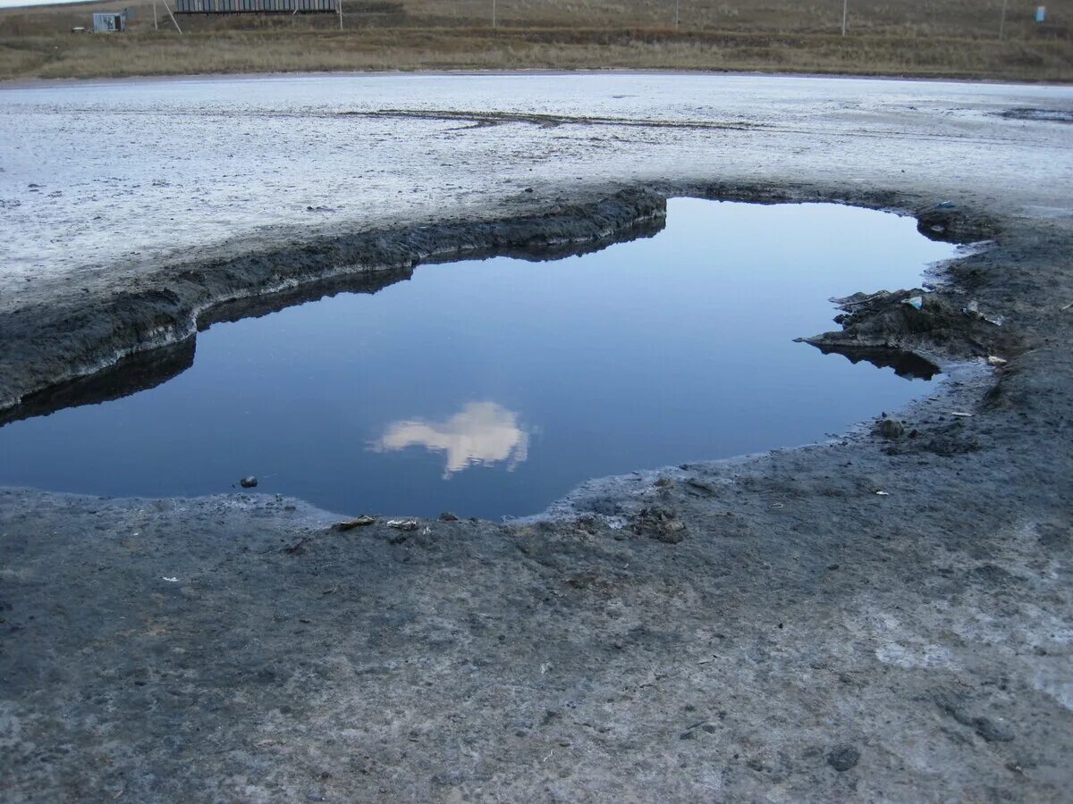 Озеро Кушмурун. Озеро Тузлучное соль-Илецк. Грязевое озеро в Нижегородской области. Веселовка грязевое озеро. Лечебное озеро в россии