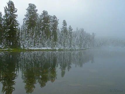 Погода чаща