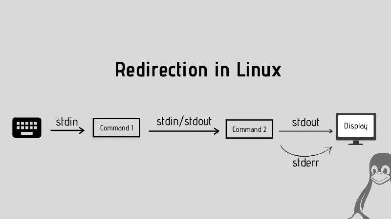 Input output error
