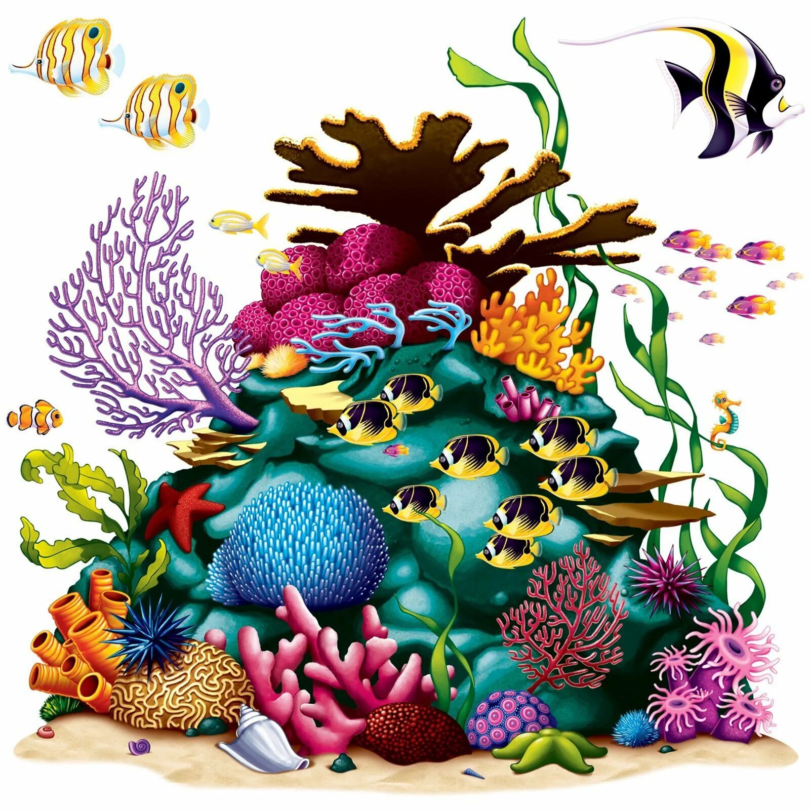 Водоросли рифы. Кораллы для детей. Подводный мир для дошкольников. Морское дно с водорослями.