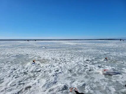 В заливе соленая вода