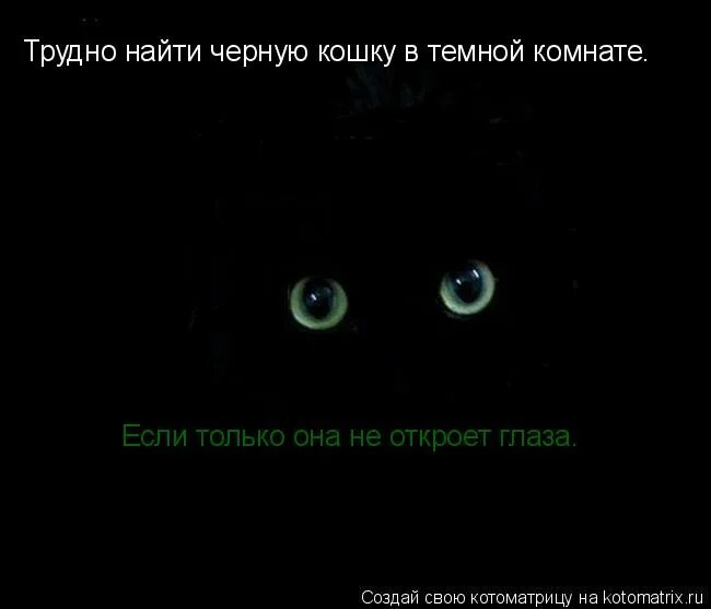 Черная кошка в темной комнате. Искать черную кошку в темной. Не ищите черную кошку в темной комнате. Трудно найти черную. Трудно найти черную.