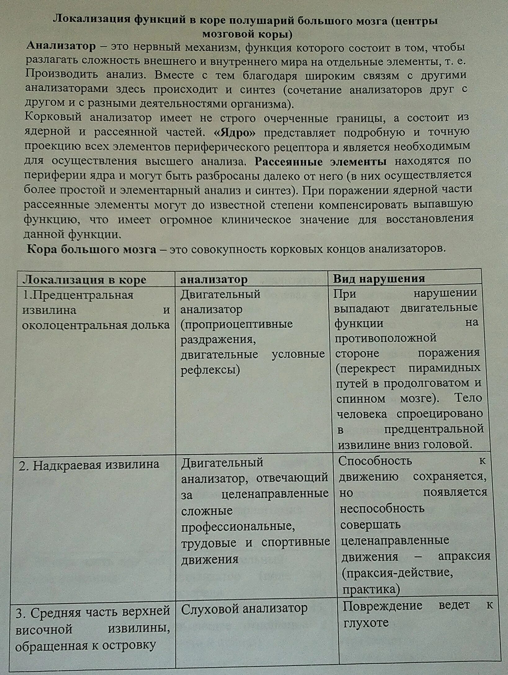 Большие полушария функции таблица. Функции зон коры головного мозга таблица. Локализация функций в коре полушарий большого мозга таблица. Локализация функций в коре большого мозга таблица. Локализация функций в коре полушарий.