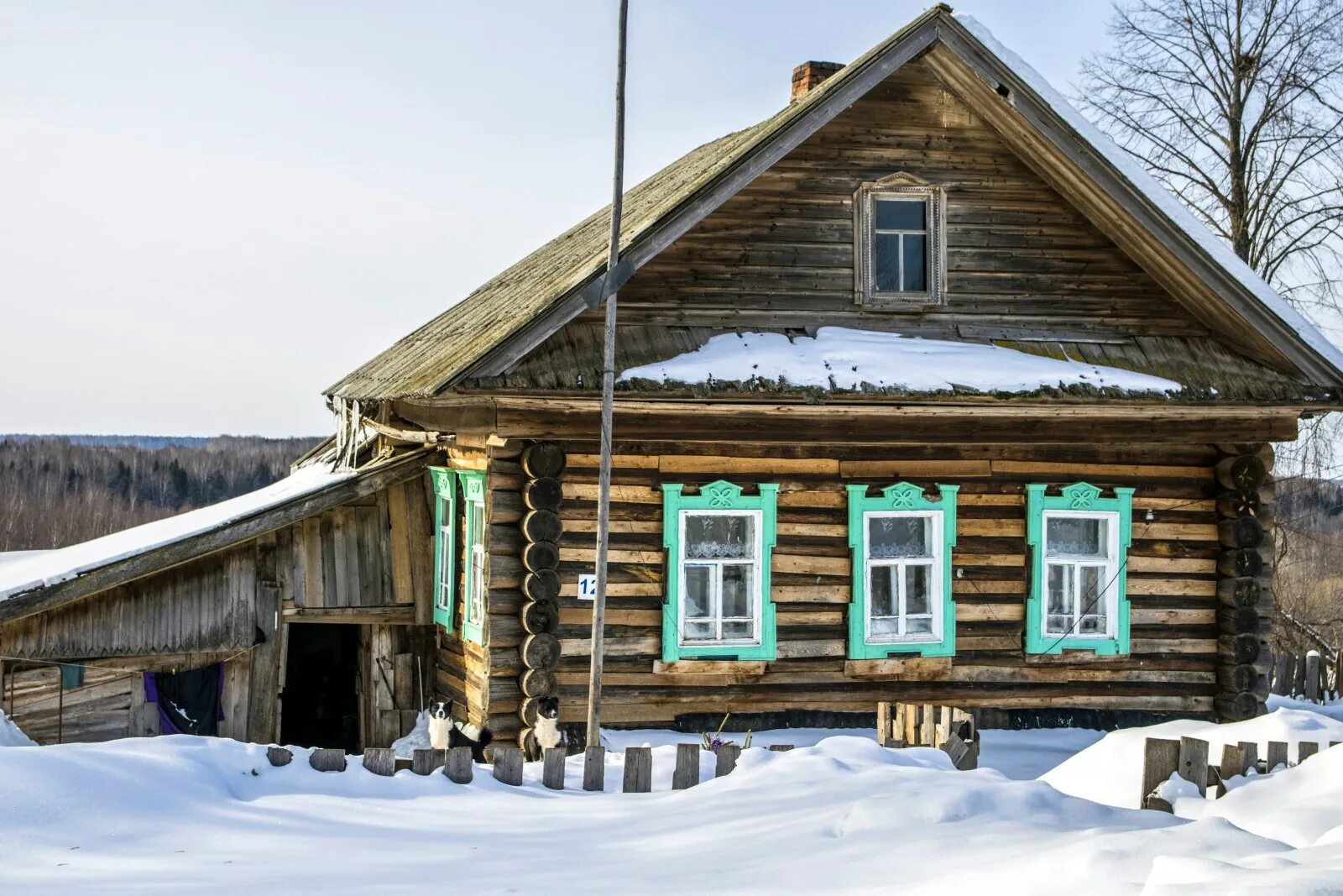 Село соколово. Деревня небдино республика коми. Деревня кони республика коми. Печора красный яг. Троицко-печорск курья.