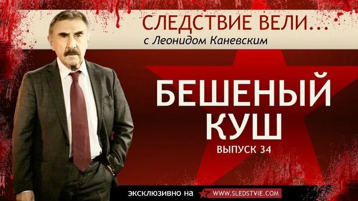 Следствие вели. Следствие вели с Каневским. Следствие вели названия серий. Следствие вели Постер.