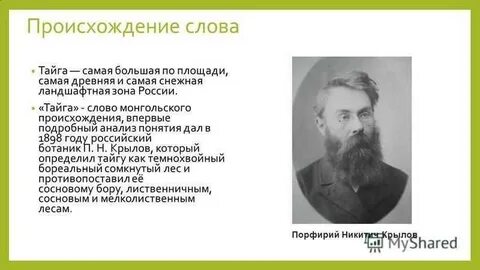 Таежная текст