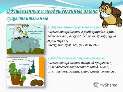 Море неодушевленное