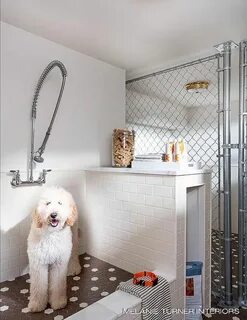 Pets room