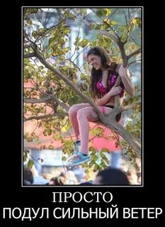 Неожиданно подул