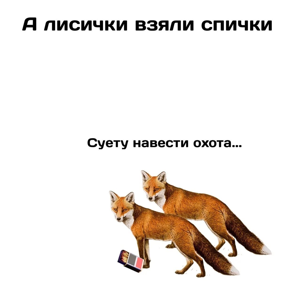 Лиса с надписью. Лис суетится. Прикольные надписи с лисой. Суету навести охота мемы. Хочется навести