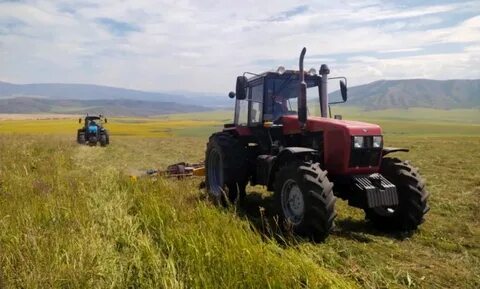 Трусикидегі әдемі бөкселері бар порно