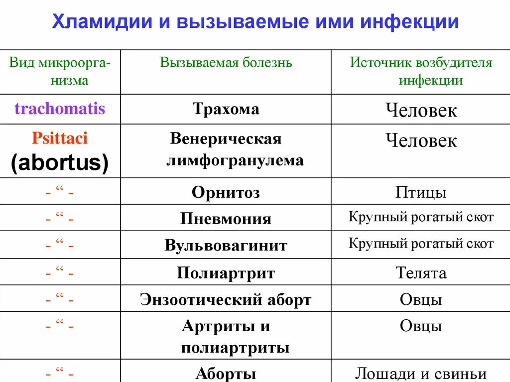 Типы хламидий. Хламидии классификация микробиология. Хламидии форма бактерии. Заболевания вызываемые патогенными хламидиями таблица. Заболевания вызываемые хламидиями.