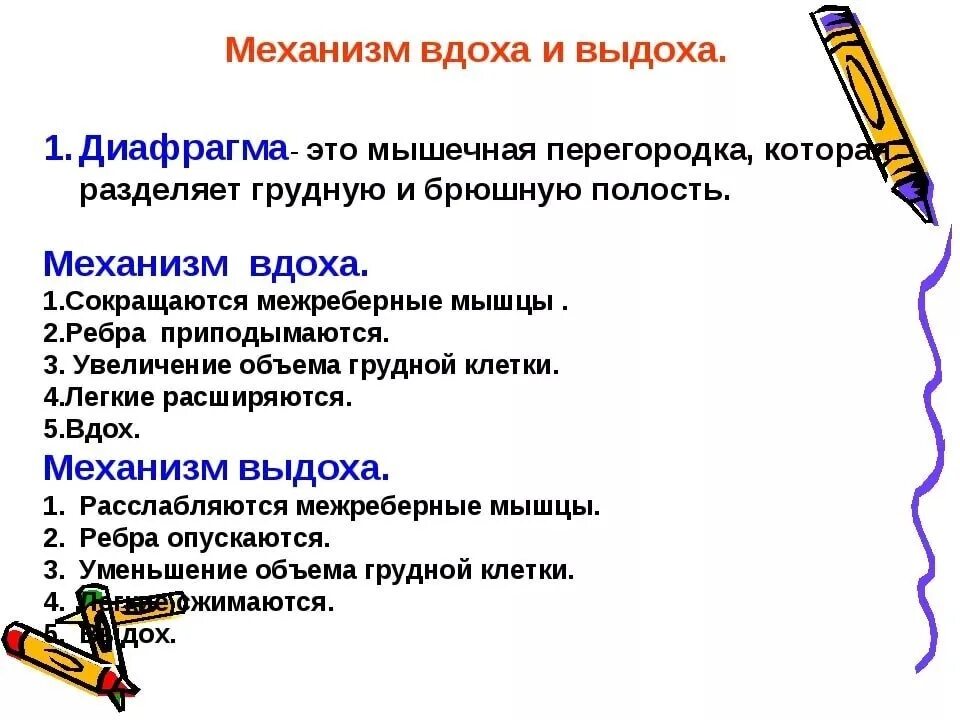 Механизм акта вдоха и выдоха. Опишите механизм вдоха и выдоха. Механизм процесса вдоха и выдоха. Описать механизм вдоха и выдоха. Характеристики вдоха