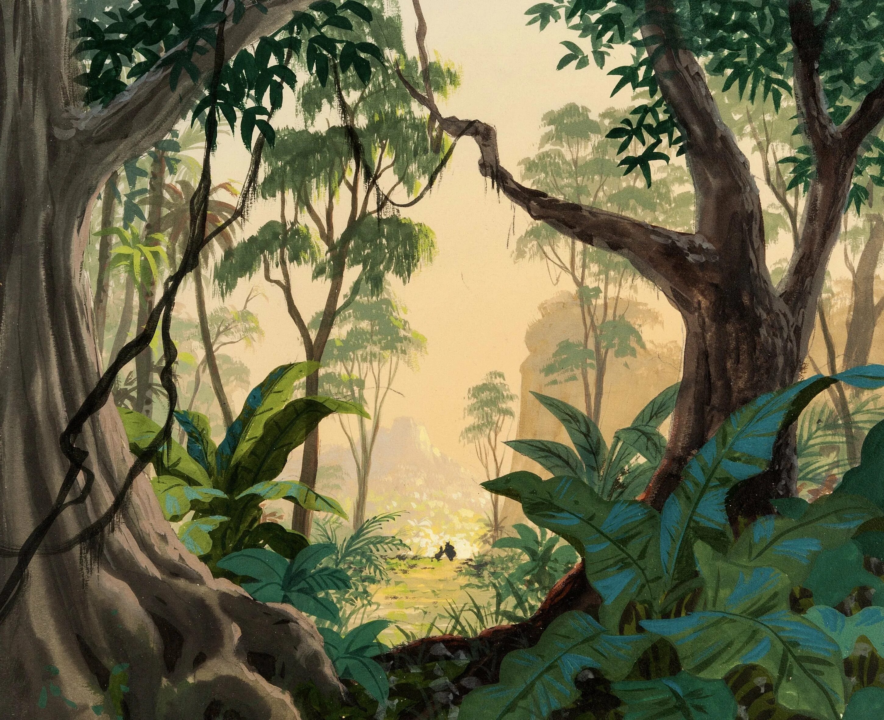 Джунгли рисунок