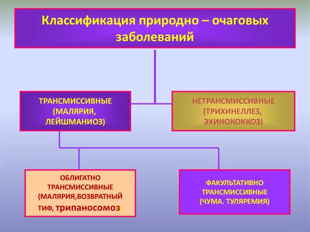 Природно очаговые трансмиссивные. Классификация природно-очаговых заболеваний. Классификация природно очаговых инфекций. Природно-очаговые заболевания это. Роиродно осаговве заболевания.