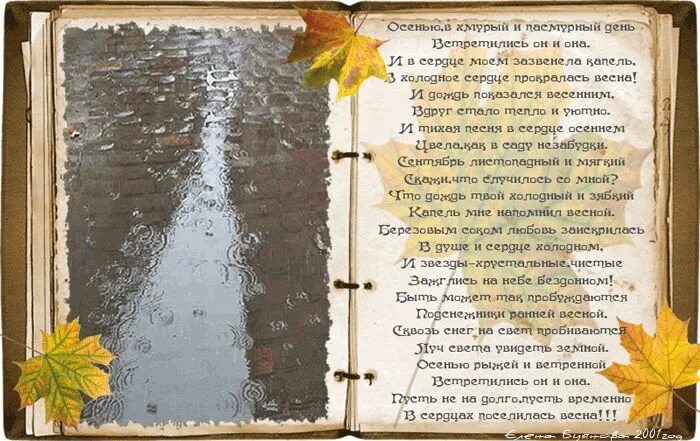 Уходит сентябрь стихи. Стихи. стихи про позднюю осень. жизнь похожа на позднюю осень стих. осень жизни стихи.