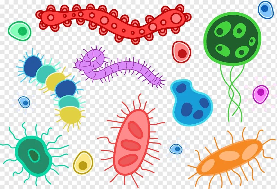 Бактерия 1 играть. Бактерии рисунок. Микробы для детей. Бактерии цветные. Бактерии рисуночки.
